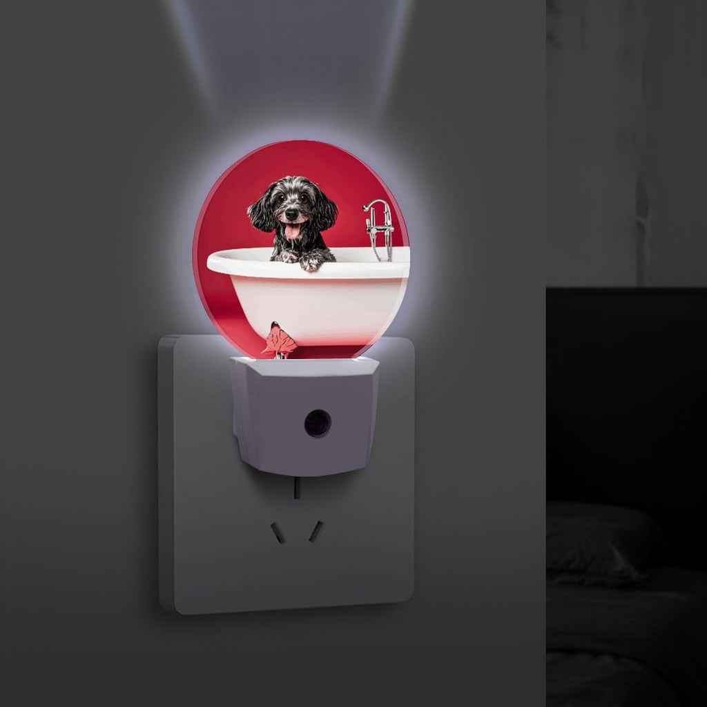 Plug-in Wall Night Light C792630