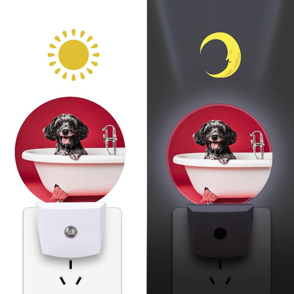 Plug-in Wall Night Light C792630