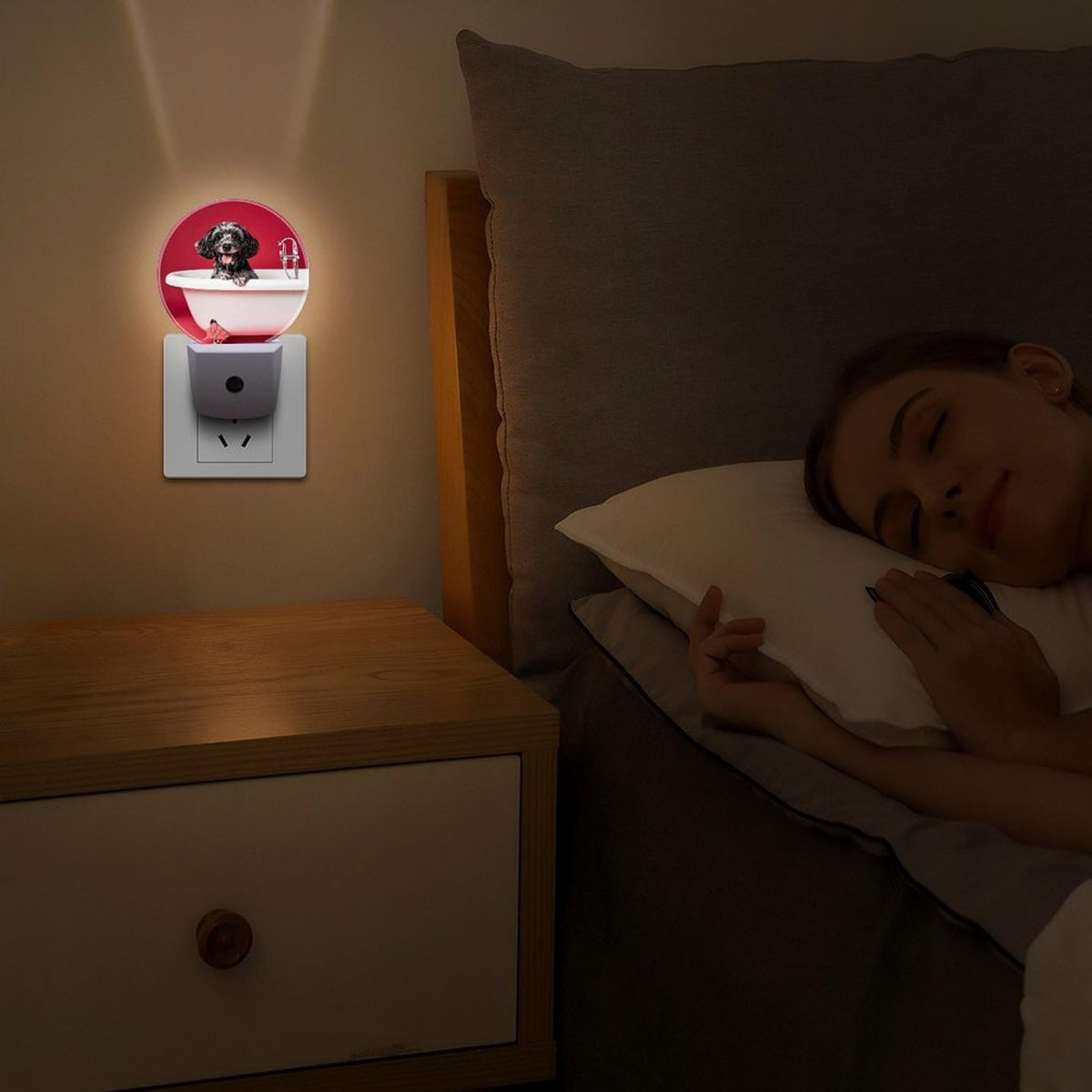 Plug-in Wall Night Light C792630