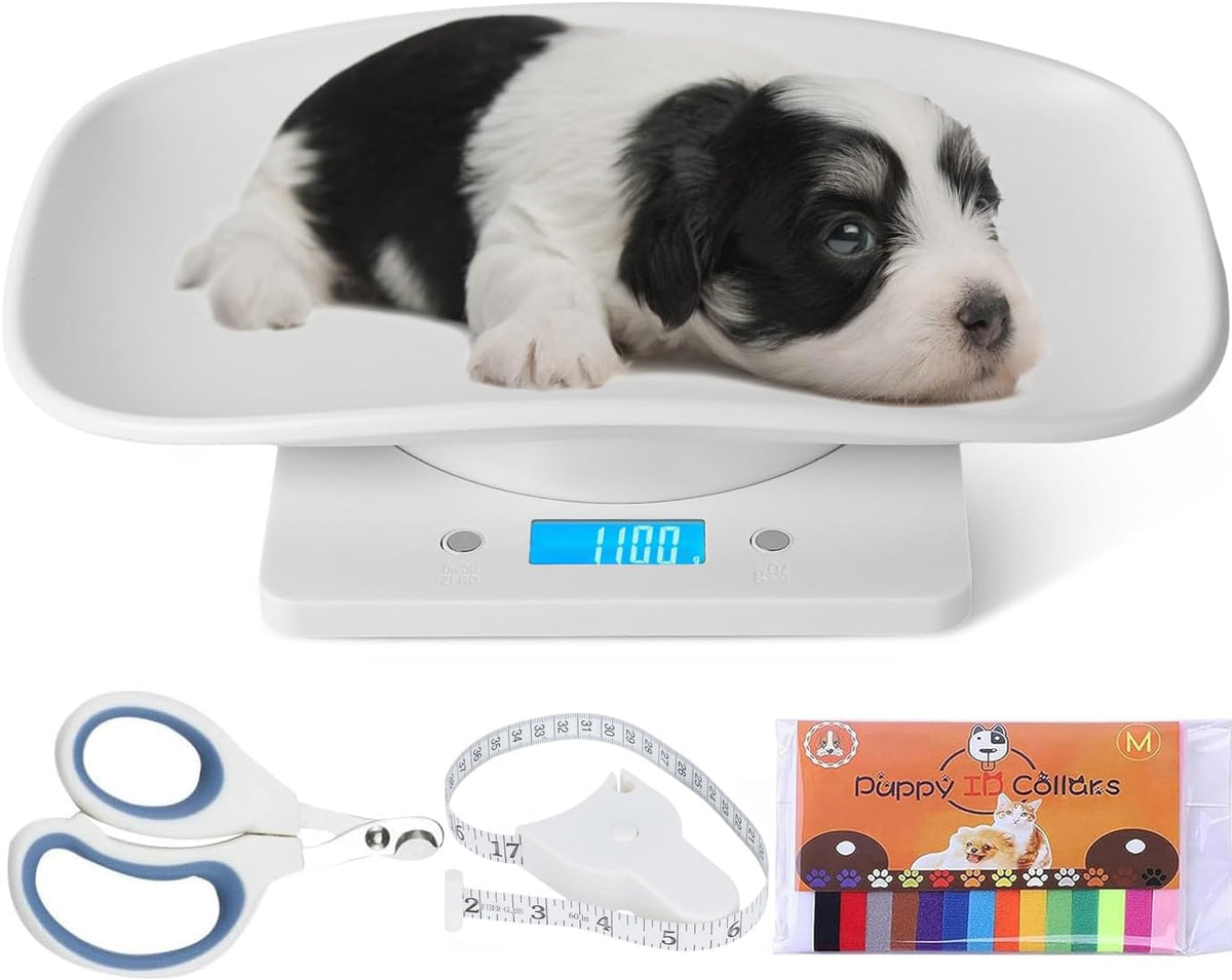 Digital Pet Scale O310