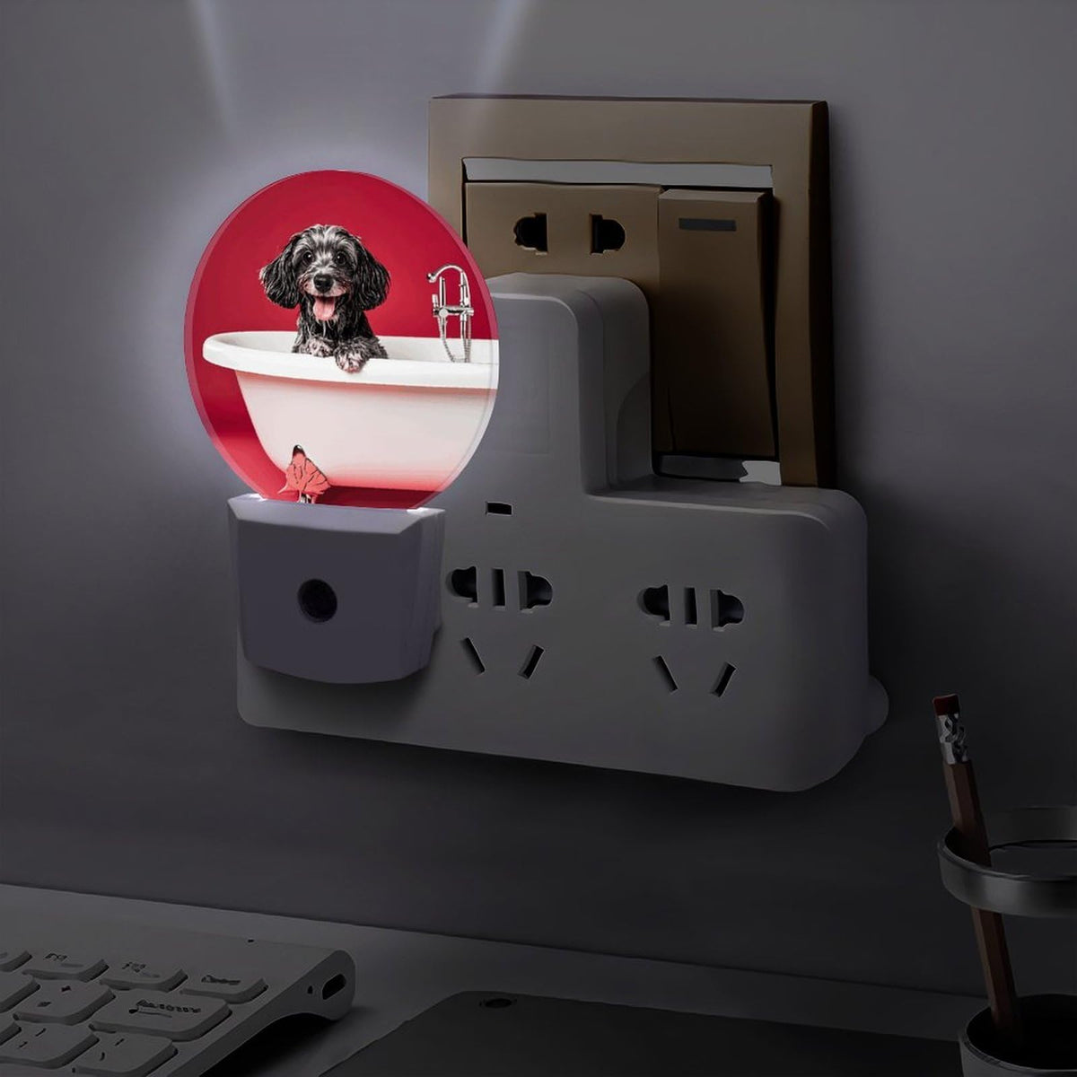 Plug-in Wall Night Light C792630