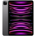 2022 iPad Pro 12.9-inch Wi-Fi + Cellular 256GB Space Gray S373