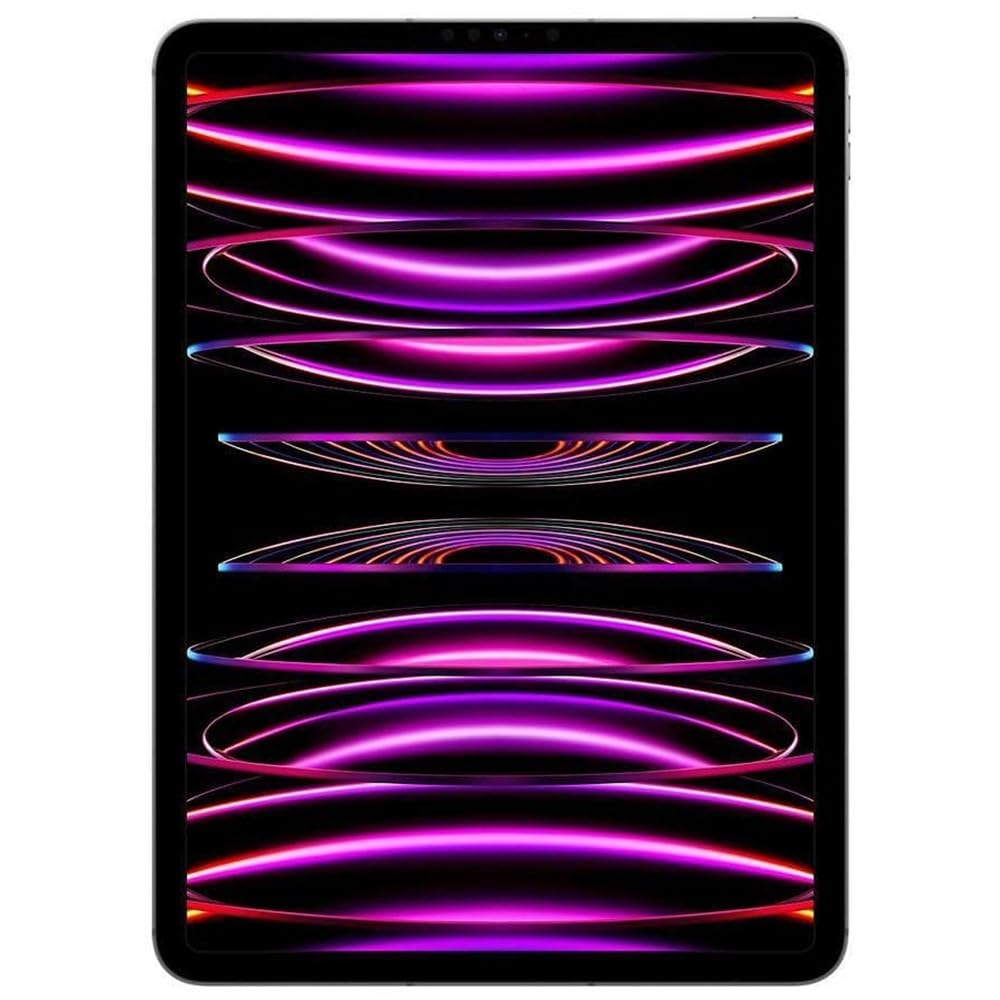 2022 iPad Pro 12.9-inch Wi-Fi + Cellular 256GB Space Gray S373