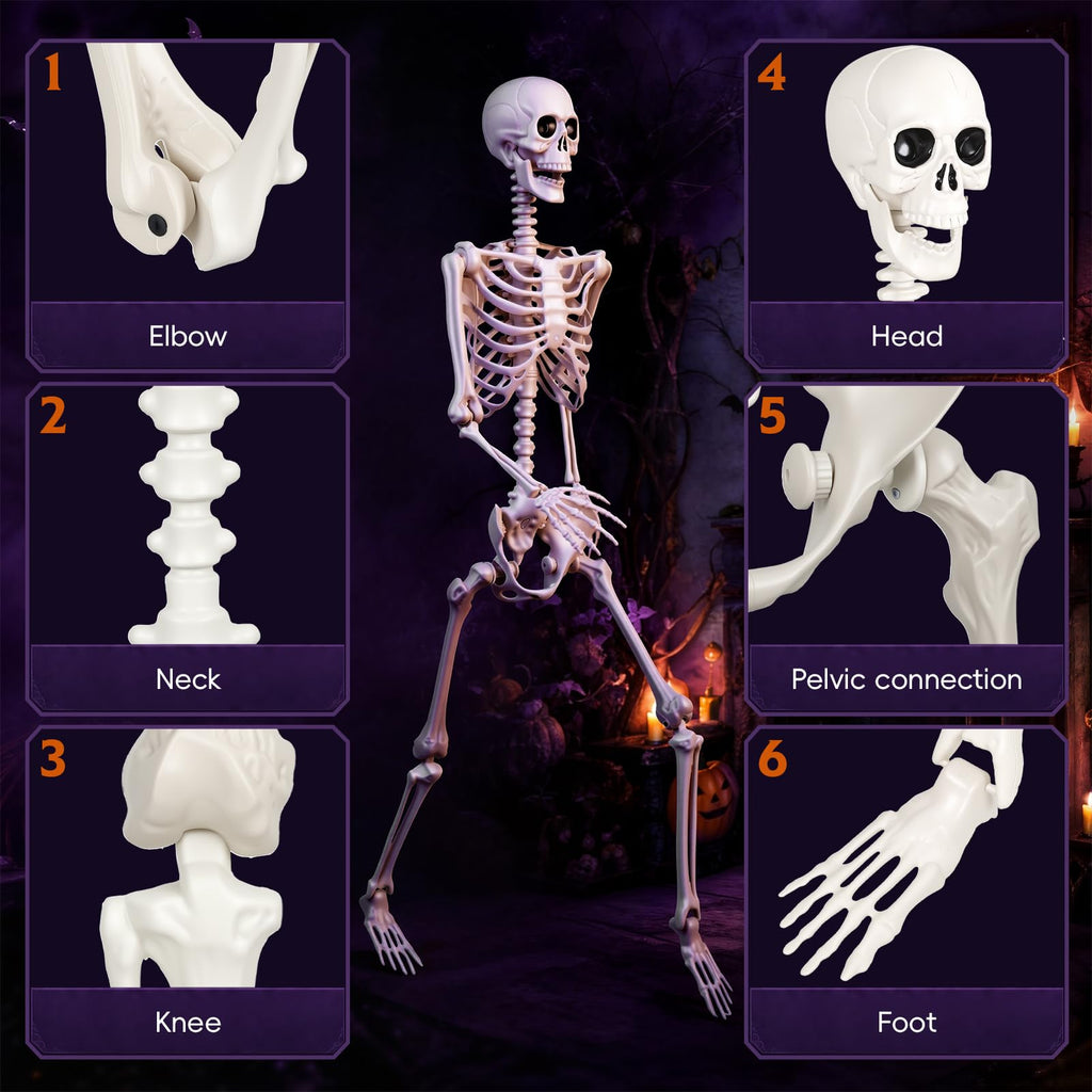 5.4 Ft Halloween Full Body Skeleton C9581