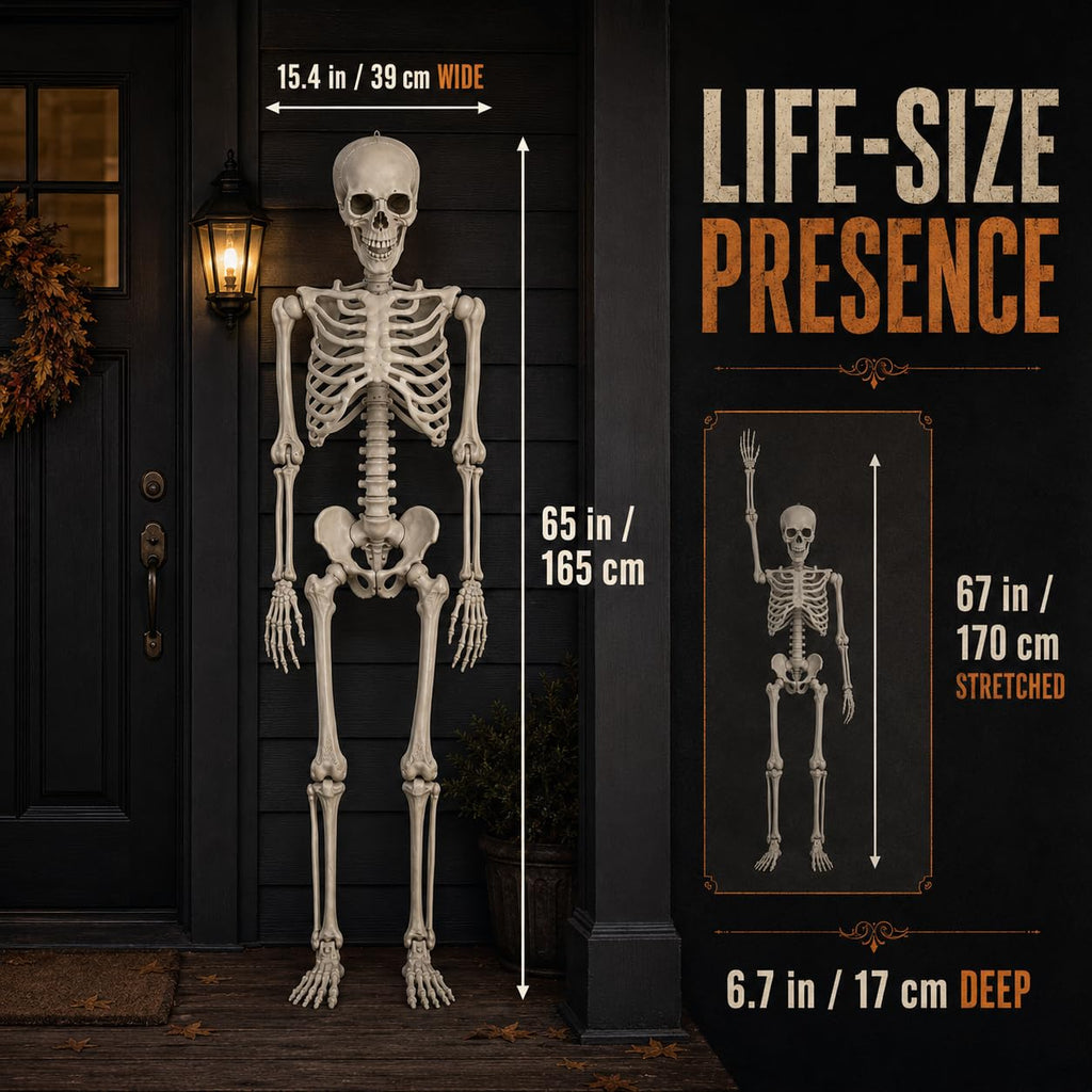 Life Size Poseable Skeleton with Movable Joints L118