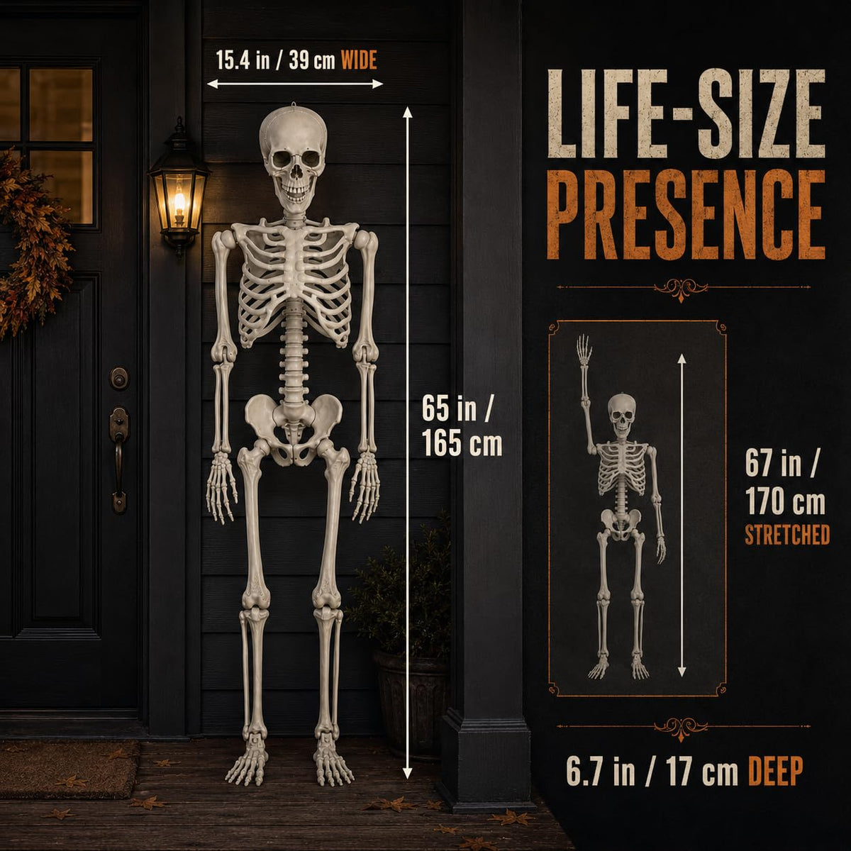 Life Size Poseable Skeleton with Movable Joints L118