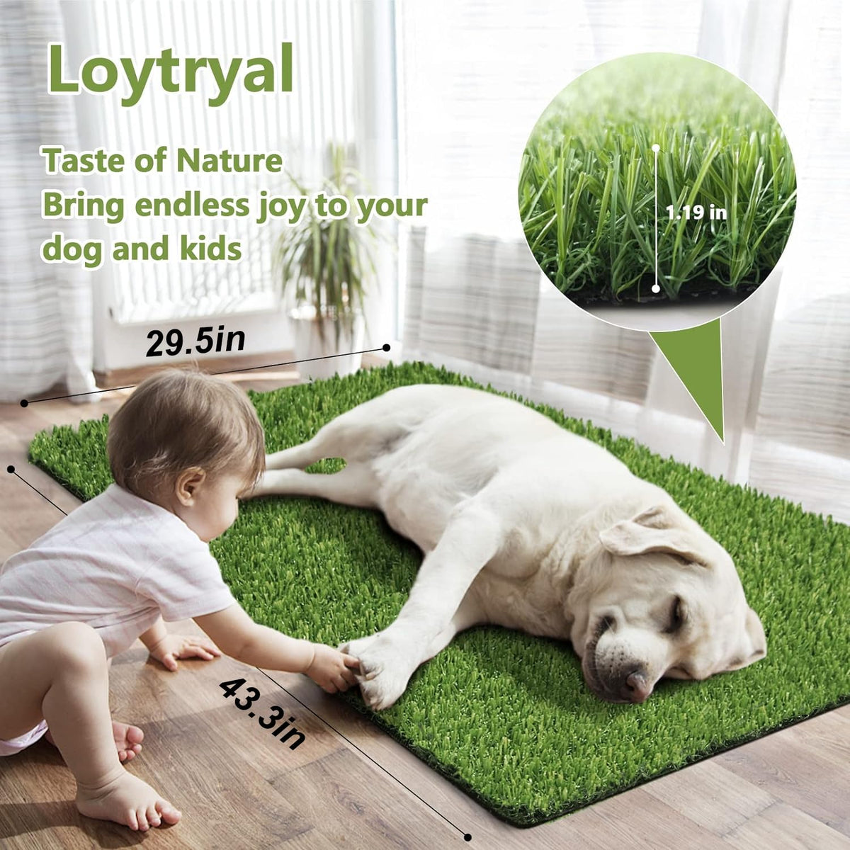43.3 x 29.5 Inches Washable Artificial Grass Rug J645629