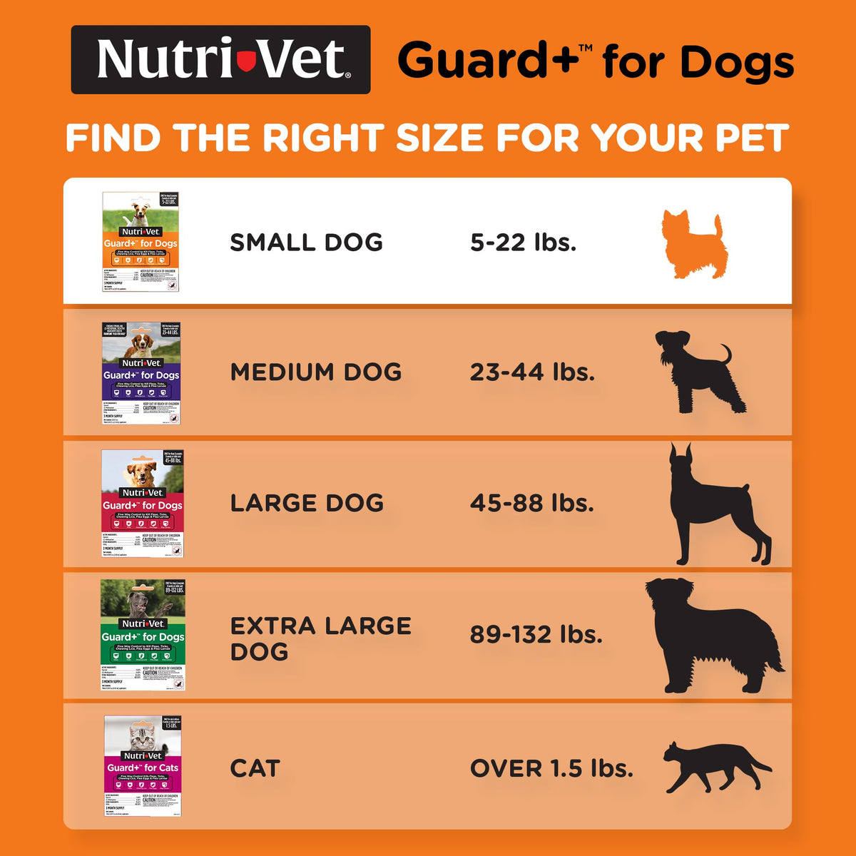 Flea Treatment 3 Doses B423237