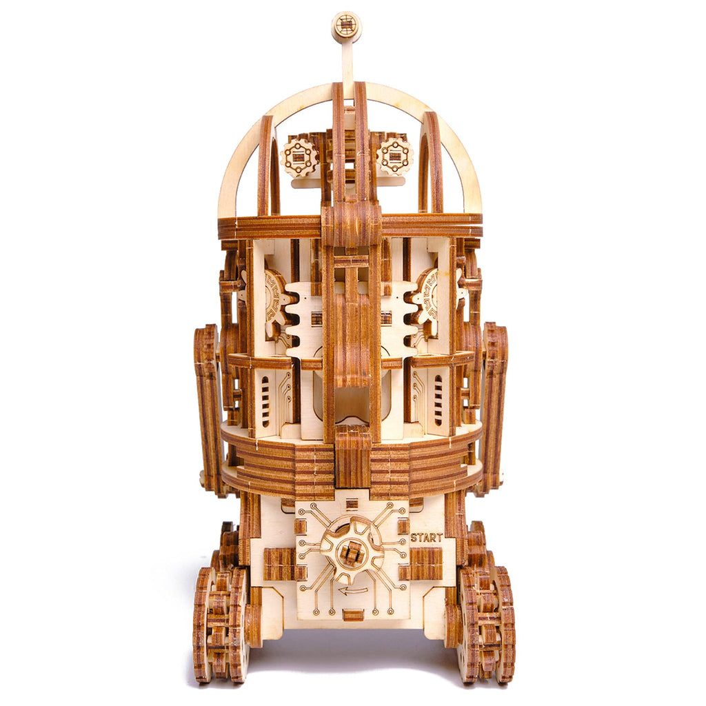 3D Wooden Puzzle H46559