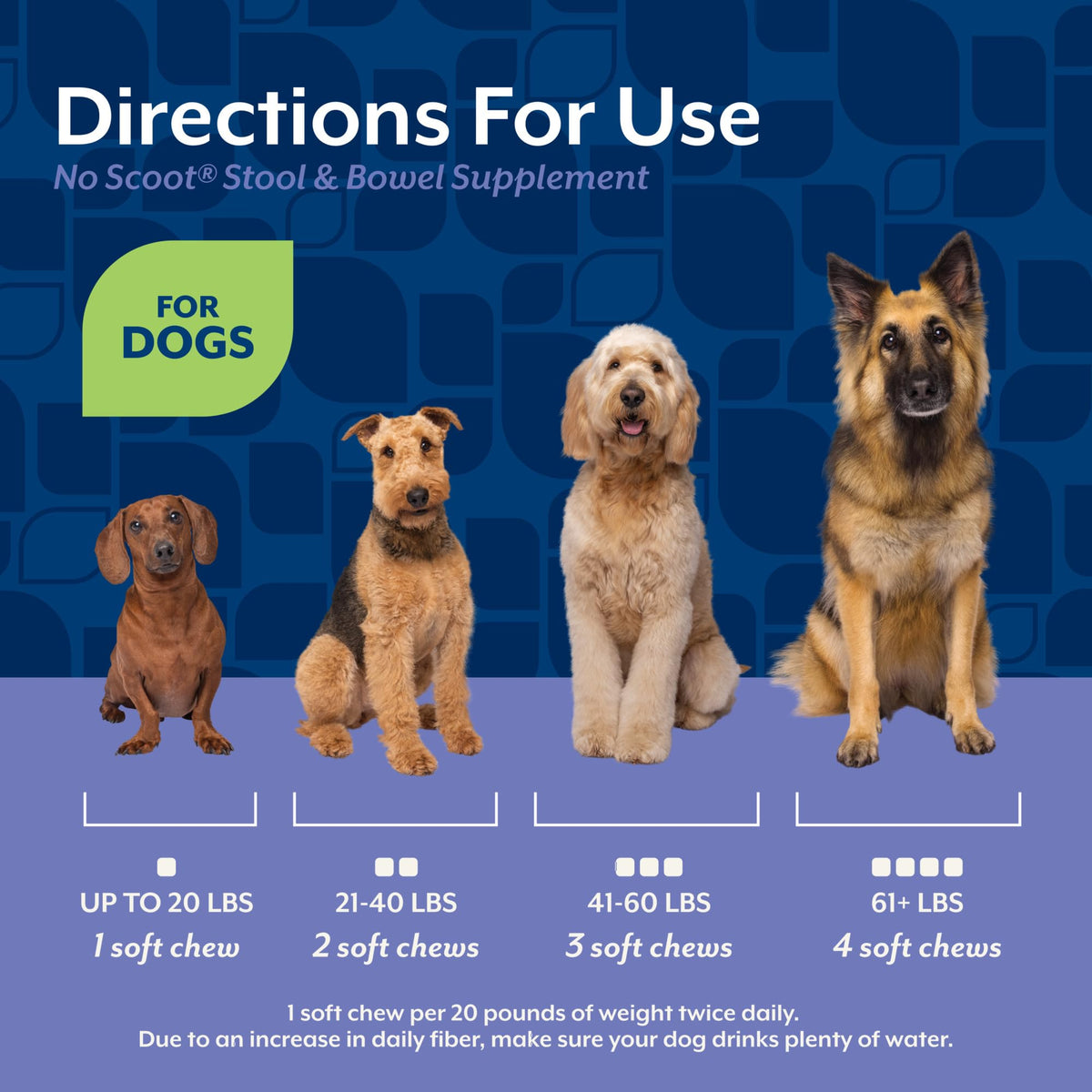 Dog Stool and Bowel Supplement 60 Soft Chews J706007