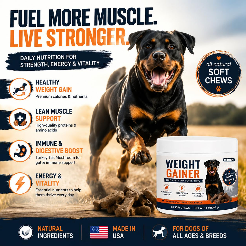 High Calorie Dog Weight Gainer Chews C5083