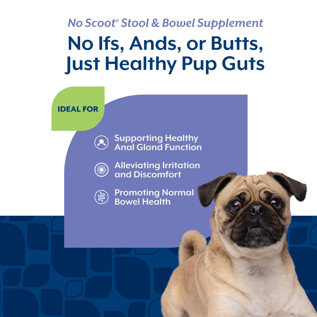 Dog Stool and Bowel Supplement 60 Soft Chews J706007
