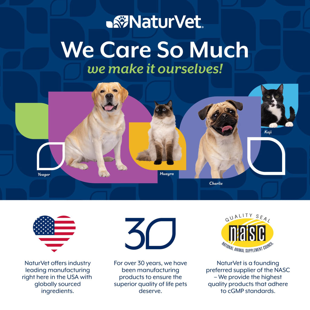 Dog Stool and Bowel Supplement 60 Soft Chews J706007