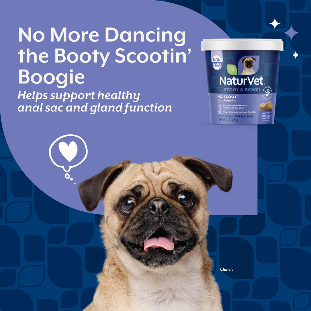 Dog Stool and Bowel Supplement 60 Soft Chews J706007