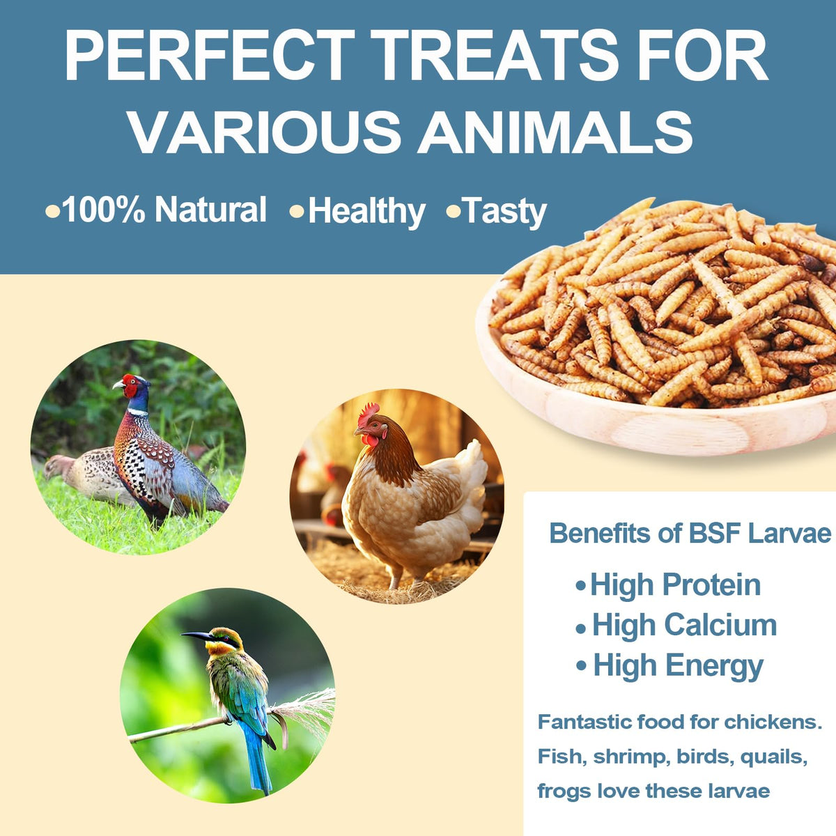 Black Soldier Fly Larvae Chicken Feed 20LB H469187
