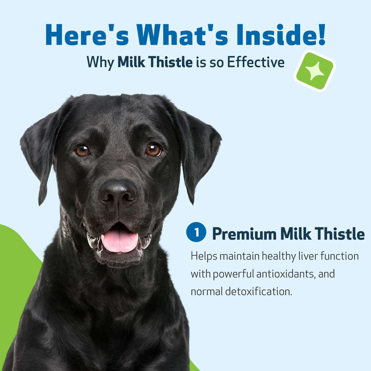 Milk Thistle for Dogs 2 oz K397382