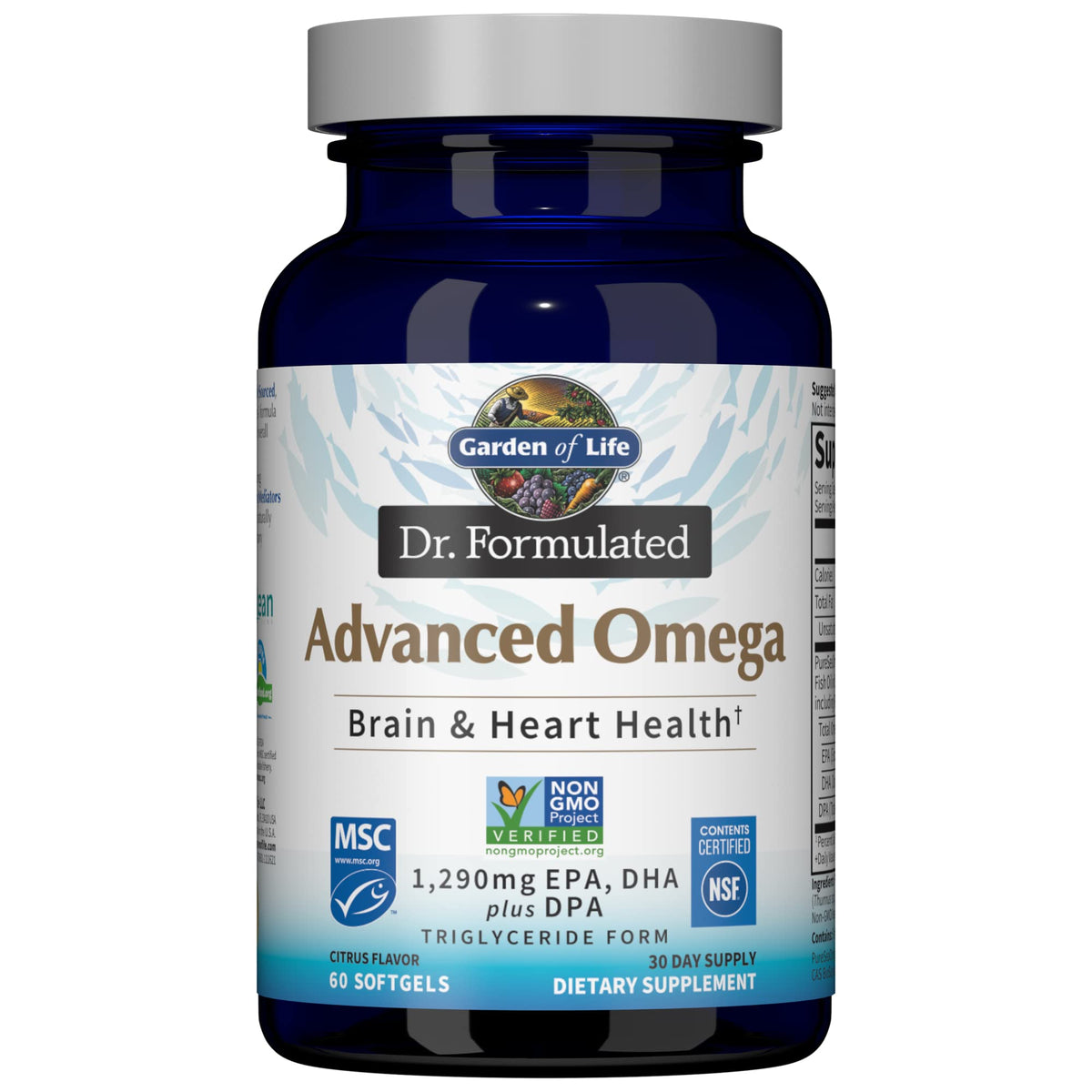 Omega 3 Fish Oil, 60 Softgels B1718