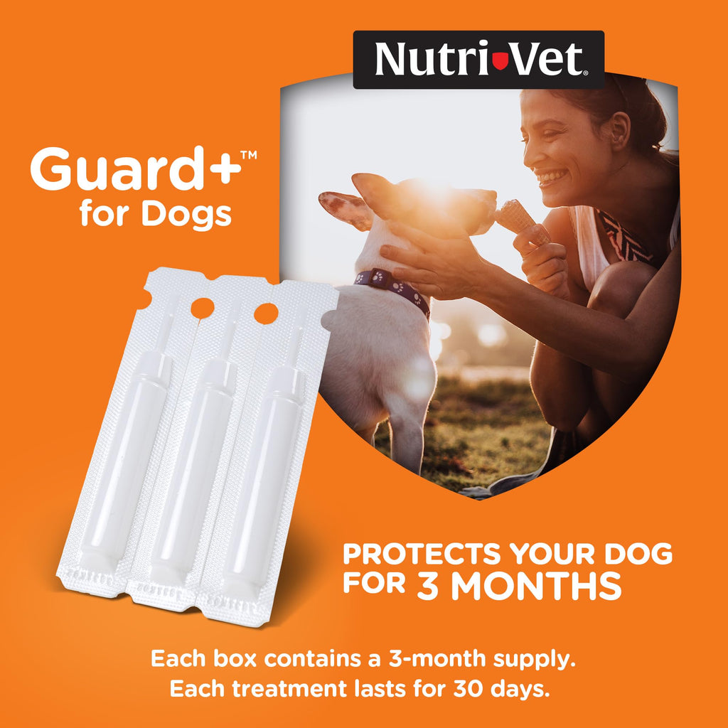 Flea Treatment 3 Doses B423237