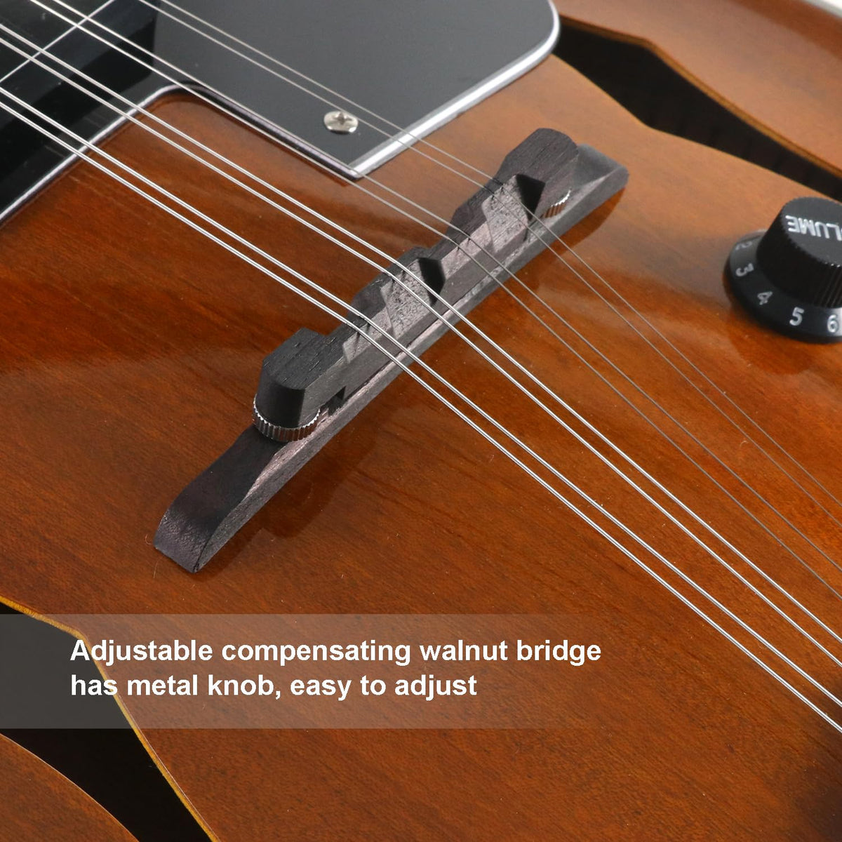8 String Acoustic-Electric Mandolin Instrument with Pickup J576