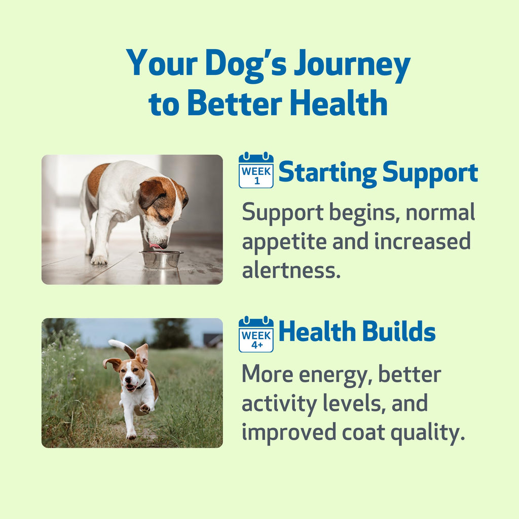 Milk Thistle for Dogs 2 oz K397382