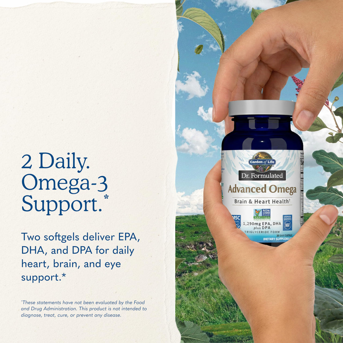 Omega 3 Fish Oil, 60 Softgels B1718