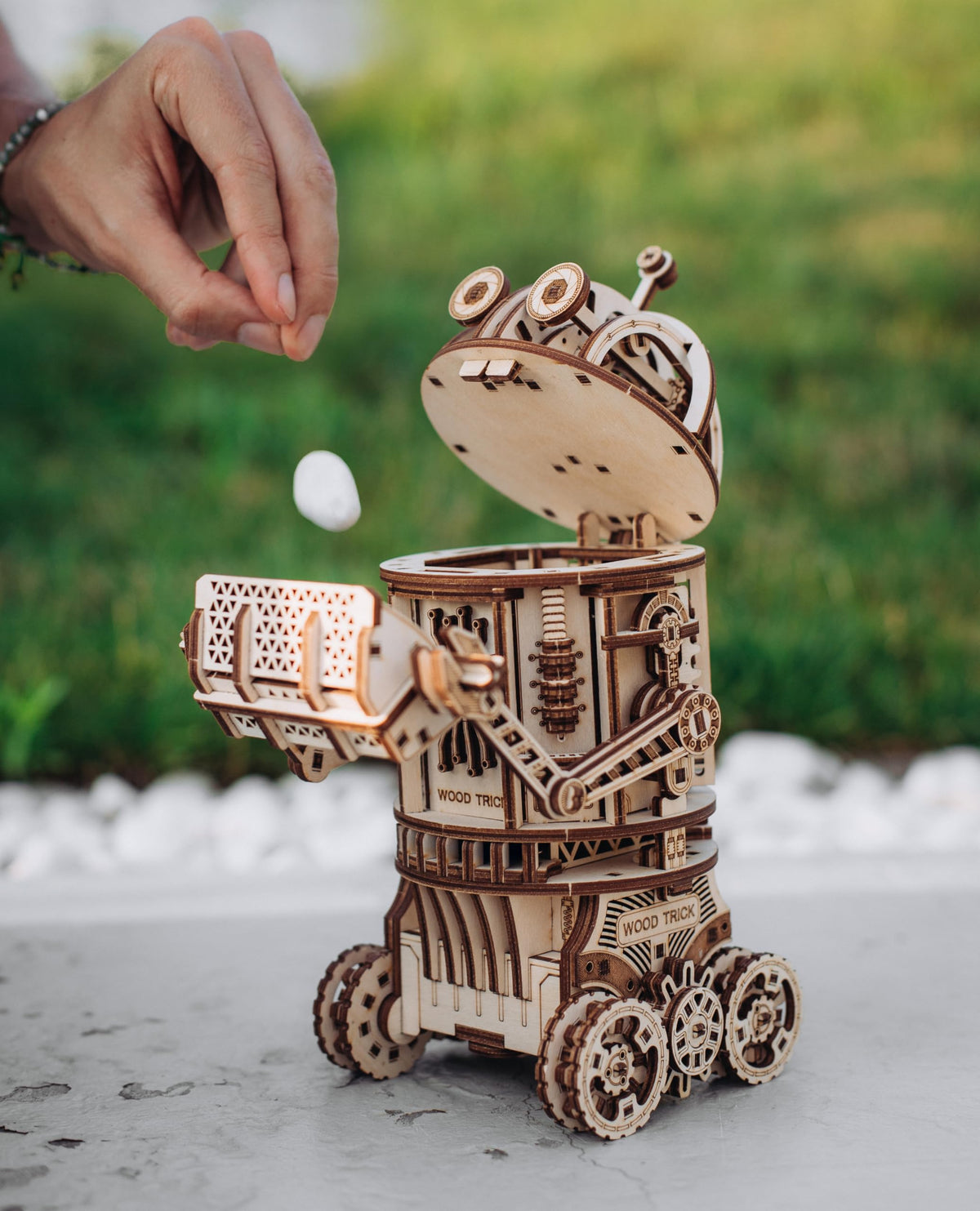 3D Wooden Puzzle H46559