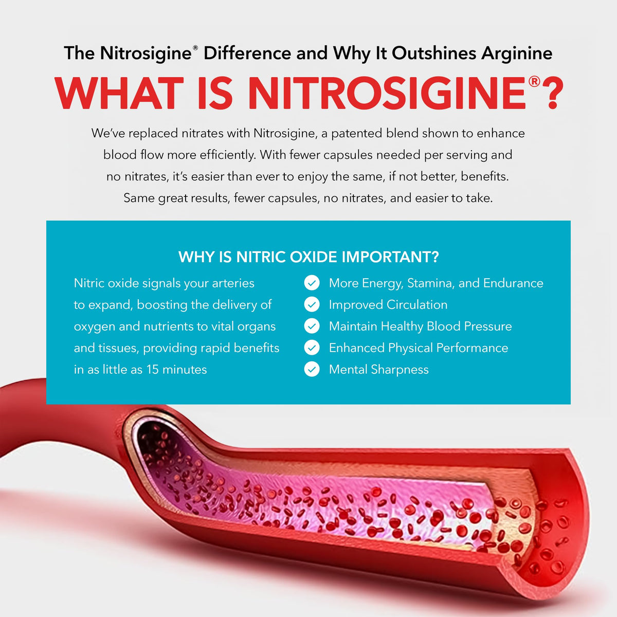 Nitric Oxide Supplements (1-Pack) A816552