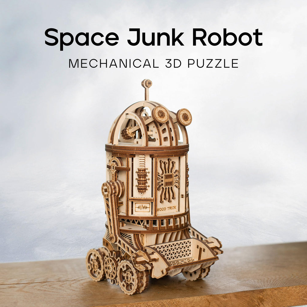 3D Wooden Puzzle H46559