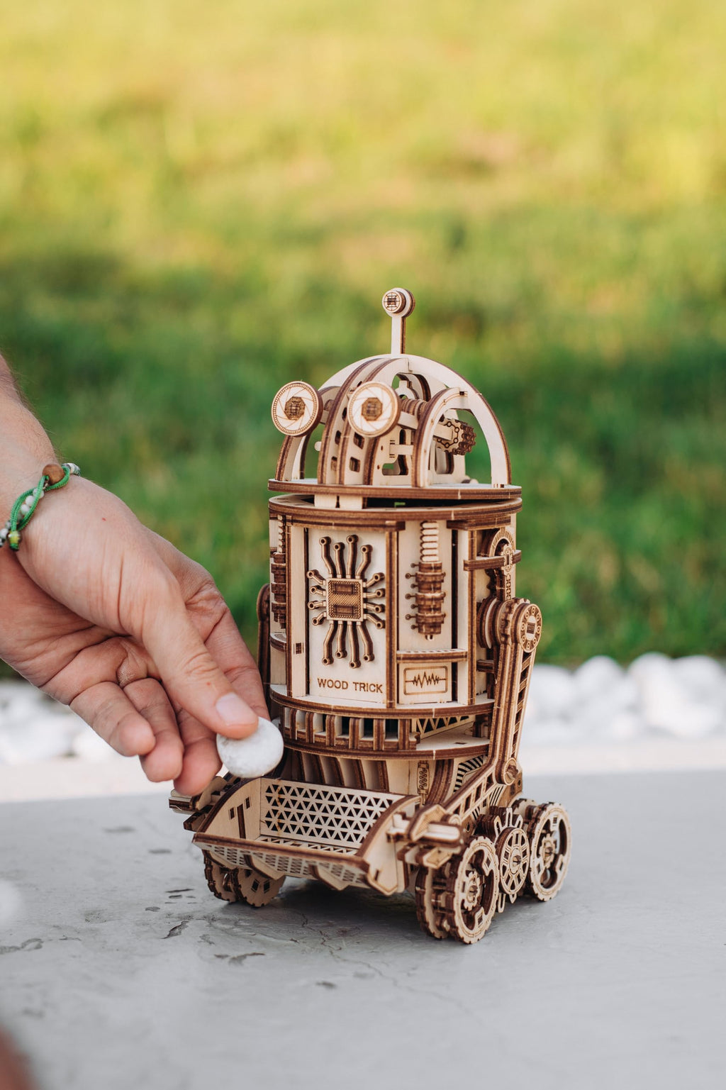 3D Wooden Puzzle H46559