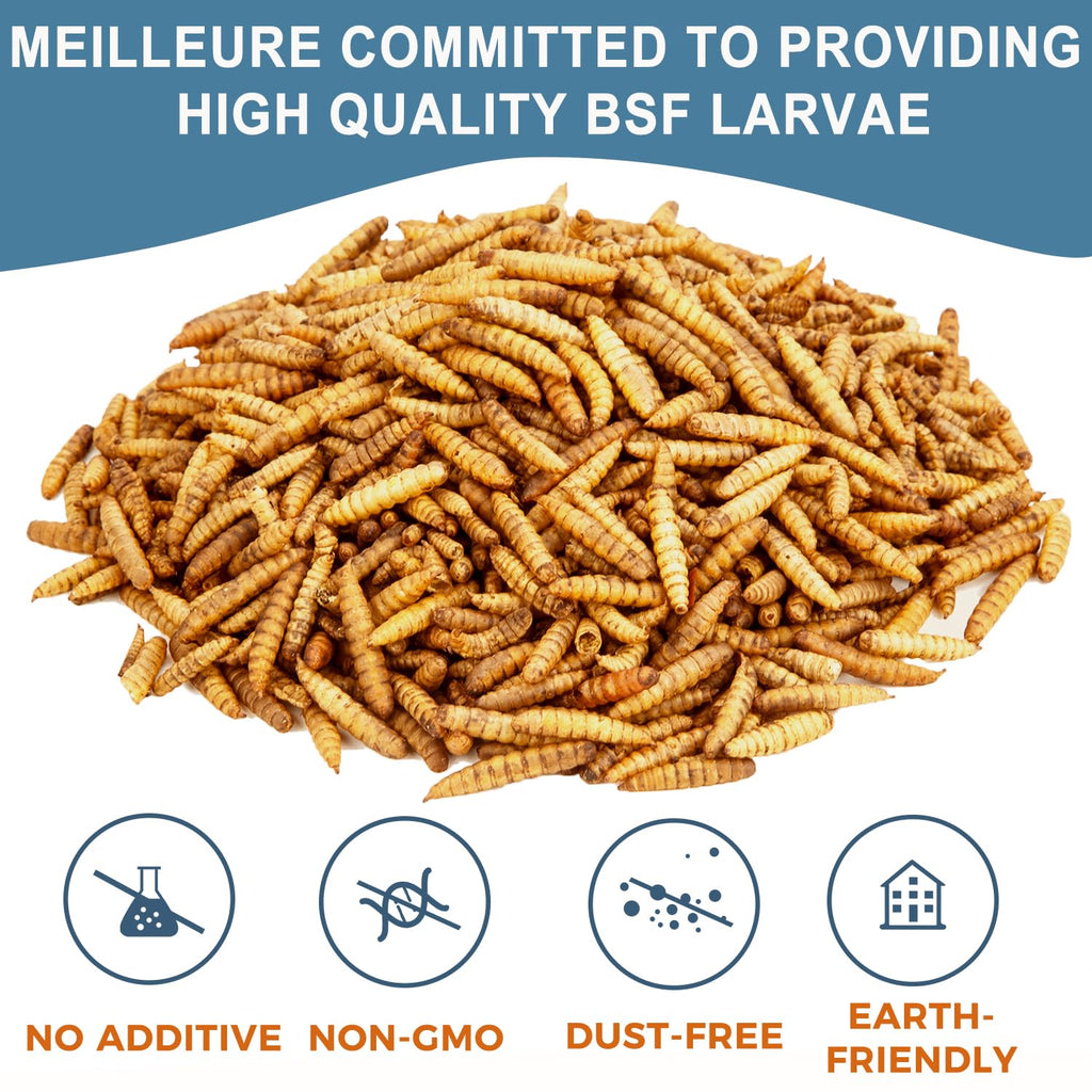 Black Soldier Fly Larvae Chicken Feed 20LB H469187