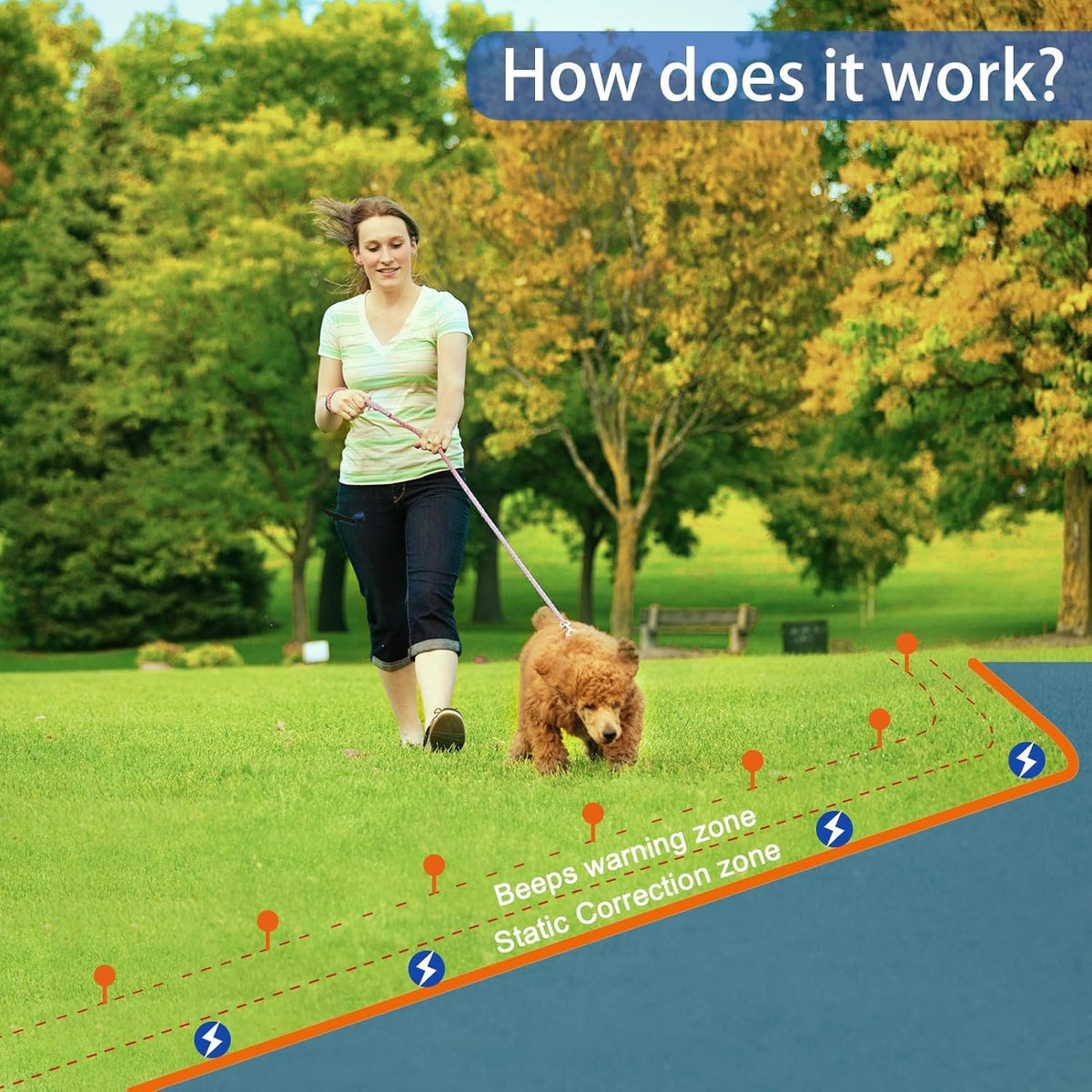 In-Ground Electric Pet Fence with 2 Waterproof Rechargeable Collars Z586