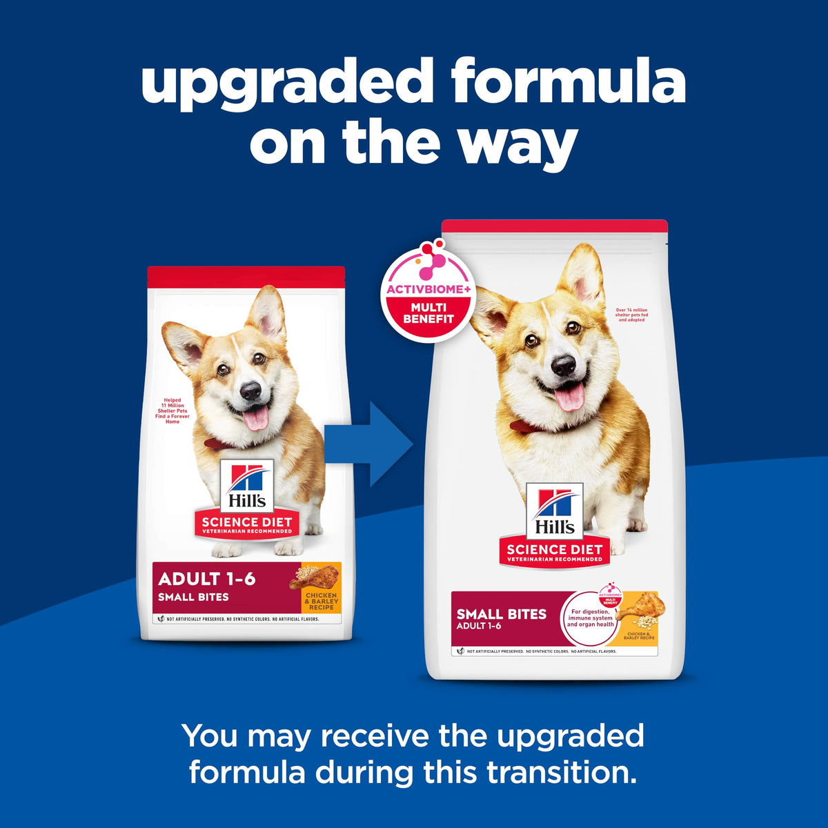 Dry Dog Food U415466