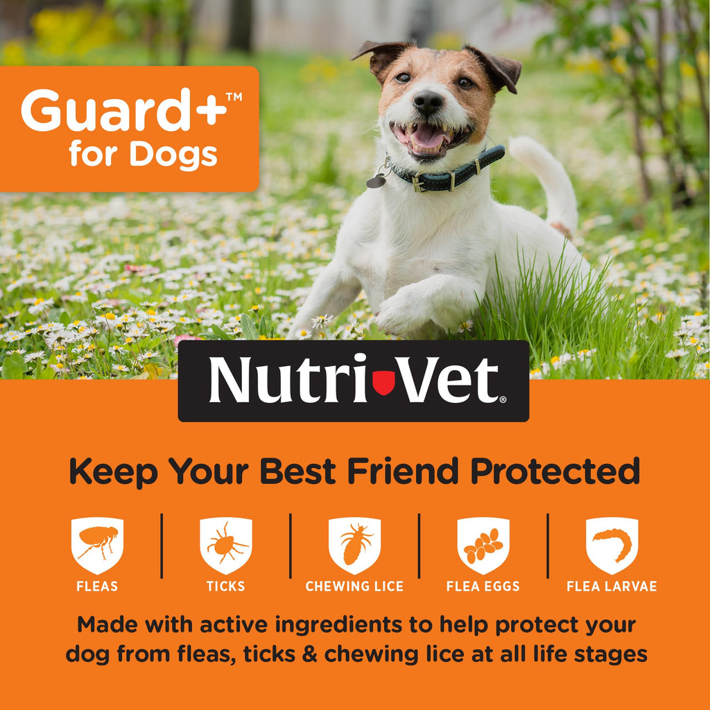 Flea Treatment 3 Doses B423237
