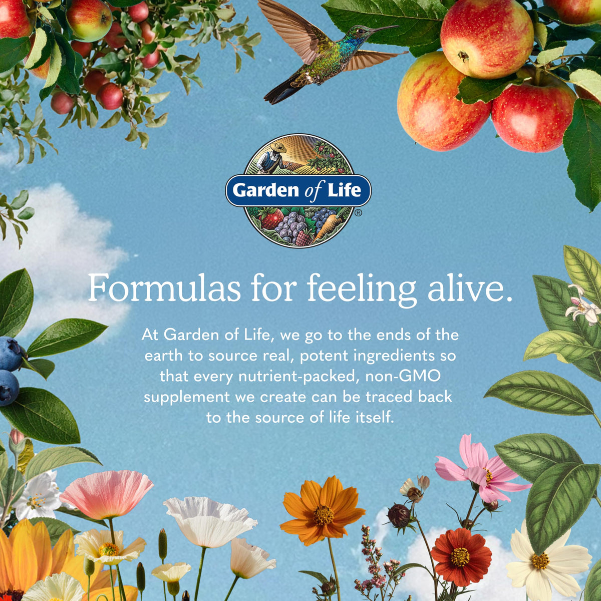 Omega 3 Fish Oil, 60 Softgels B1718